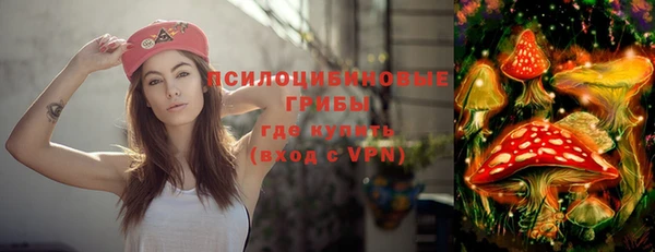 мдпв Ельня
