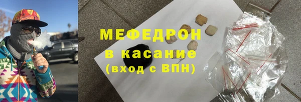 мдпв Ельня