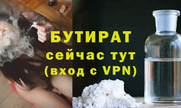 мдпв Ельня