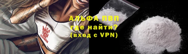мдпв Ельня