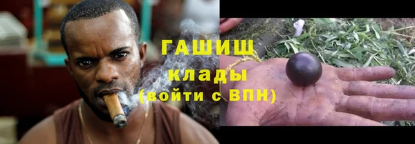 мдпв Ельня