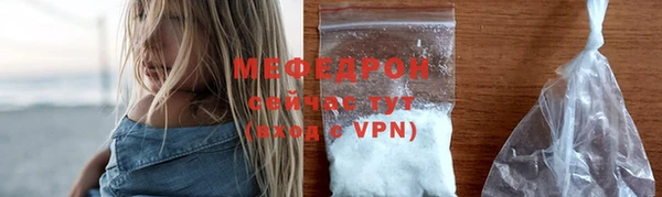 мдпв Ельня