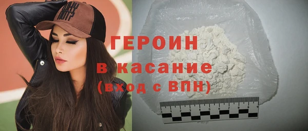 мдпв Ельня