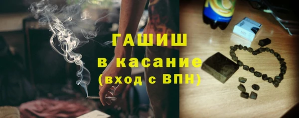 мдпв Ельня
