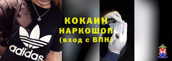 мдпв Ельня
