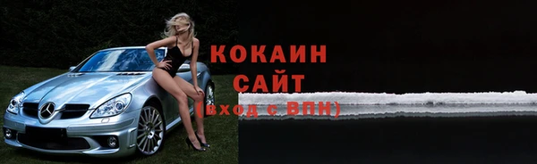 мдпв Ельня