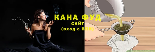 мдпв Ельня