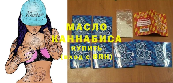 мдпв Ельня