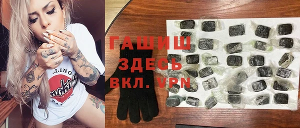 мдпв Ельня