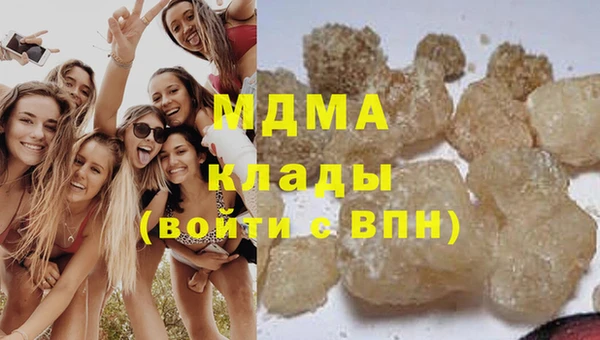 мдпв Ельня