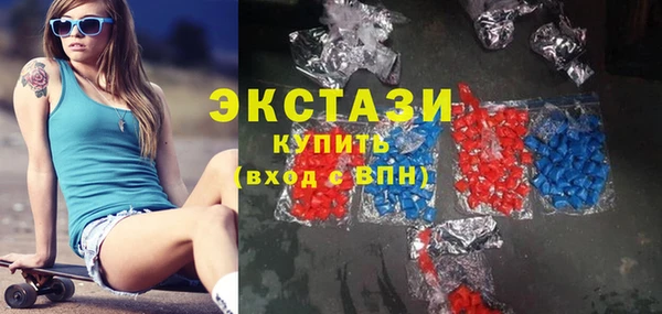 мдпв Ельня