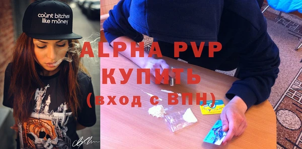 мдпв Ельня