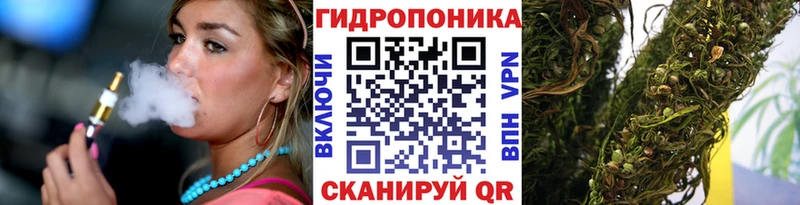 Конопля SATIVA & INDICA  цены наркотик  Карабаш 